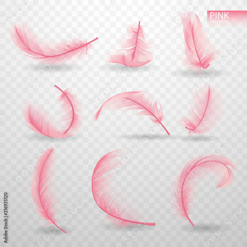 Set of isolated falling pink fluffy twirled feathers on transparent background in realistic style. Light cute feathers design. Elements for design. Vector Illustration