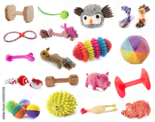 Photography toys for dogs