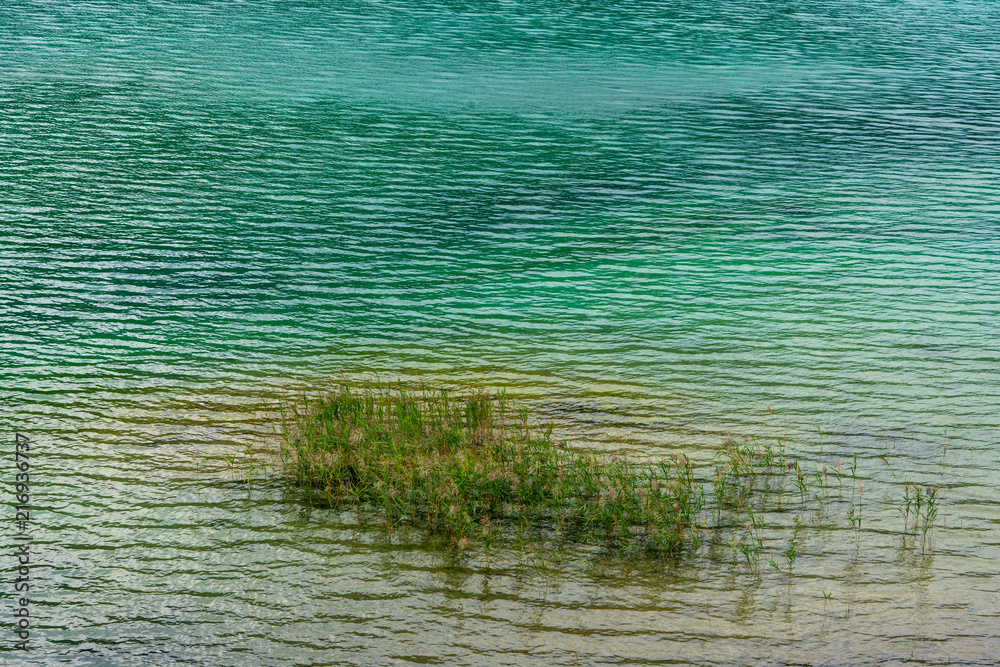 Fototapeta premium See nit Gras