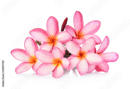 water drop Frangipani flower isolated on white background