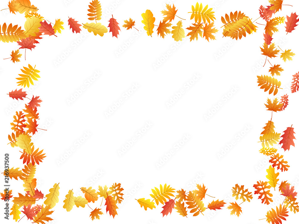 Oak, maple, wild ash rowan leaves vector, autumn foliage on white background. Oak, maple, wild ash rowan leaves vector, autumn foliage on white background.