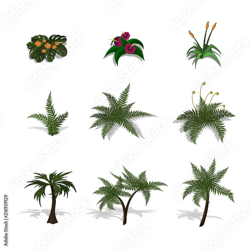 Set of plants in isometric style. Cartoon tropical tree and fern on white background. Isolated image of jungles palm and bush. Vector illustration