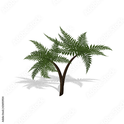 Plant in isometric style. Cartoon tropical tree on white background. Isolated image of jungles palm. Vector illustration