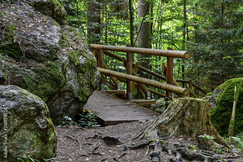 a hike through the wild Ysperclammy photo