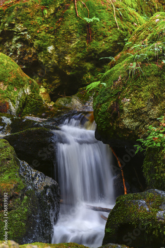 a hike through the wild Ysperclammy