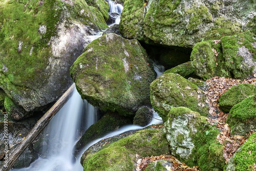 a hike through the wild Ysperclammy photo