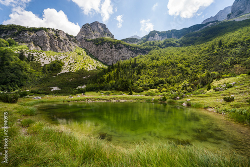 Mountain range and lake early in summer.  © djoronimo