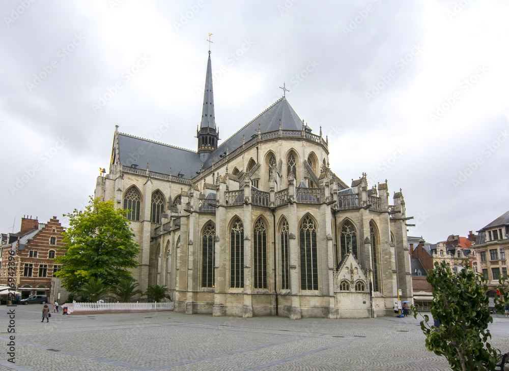 Saint Peter's Church (Sint-Pieterskerk) in center of Leuven, Belgium