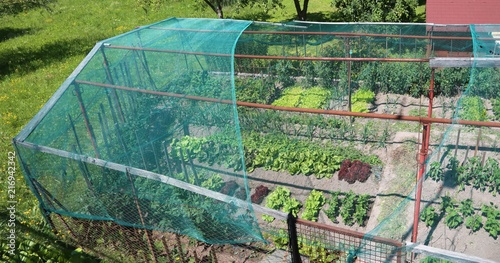 vegetable garden of a house with a hail and bird protection net