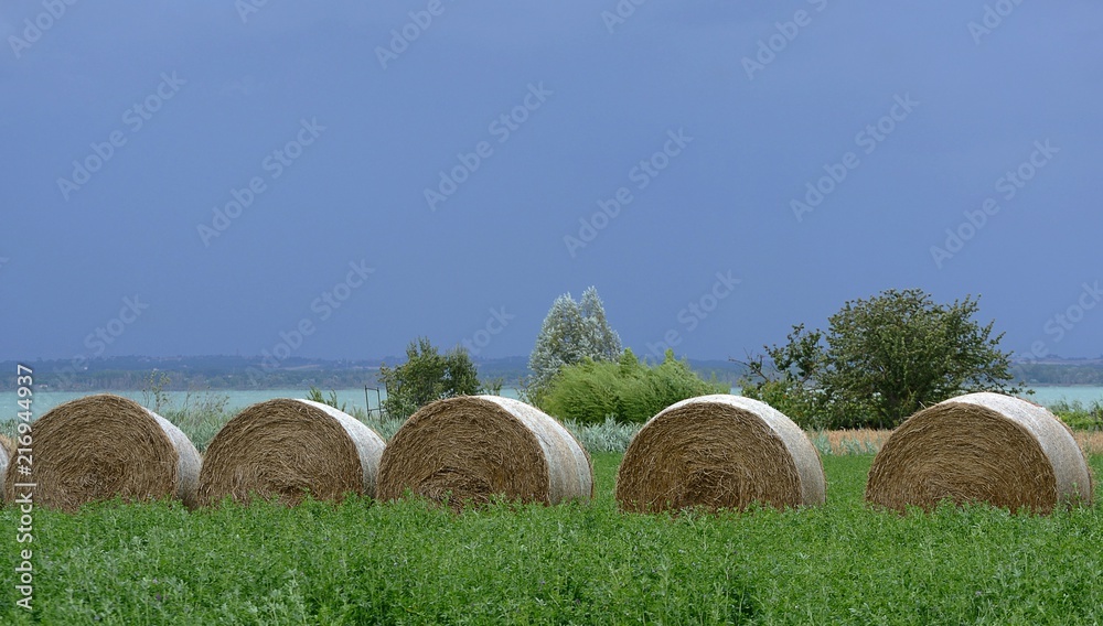 Umbria, Italy, hay rolls in a green field near Lago Trasimeno in a cloudy summer day