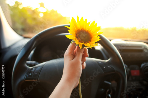 woman holding sunflower flowers in car