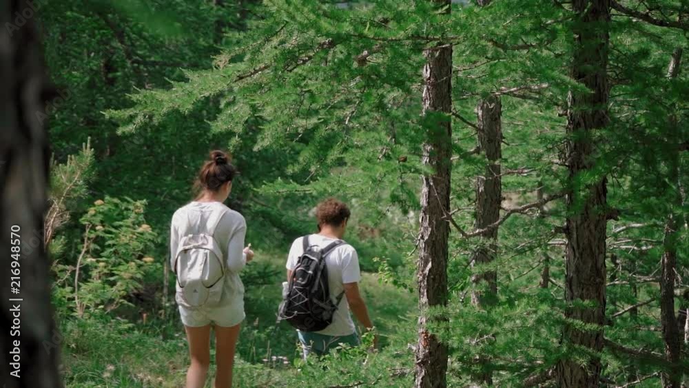 Rear view: couple with backpacks on their backs follow a path in the forest Rear view: couple with backpacks on their backs follow a path in the forest
