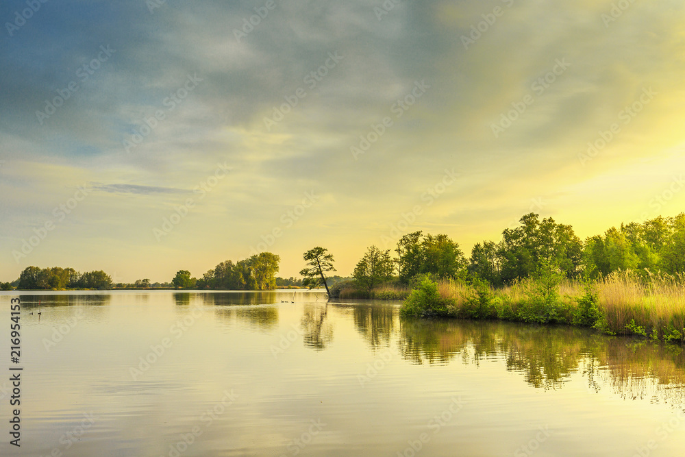 Water with islands on which trees in nature reserve the Nieuwkoopse plassen during sunrise with reflection in the water and warm colours of the rising sun  and an air full of flying insects