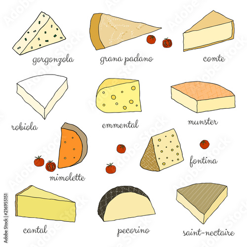 Hand drawn cheese isolated on white background. Set 2. photo