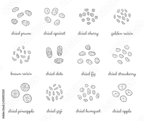Hand drawn outline detailed dried fruits.