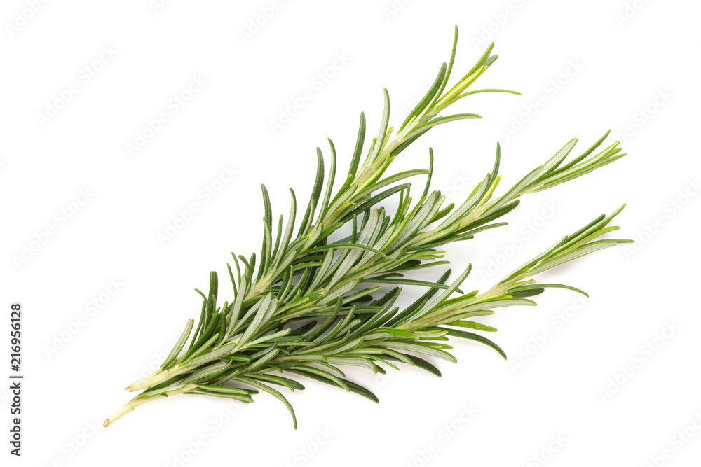 Fototapeta premium Rosemary spice on the white background.