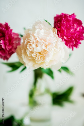 Flower background  white and pink Terry peonies in a glass vase