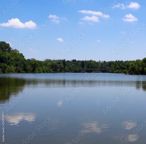 The reflections of the trees and the clouds off the lake. 