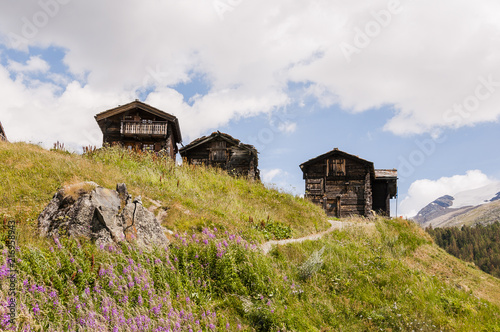 Zermatt, Findeln, Weiler, Wanderweg, Holzhäuser, Bergbauer, Bergwiesen, Bergblumen, Alpenblumen, Wallis, Alpen, Walliser Berge, Sommer, Schweiz