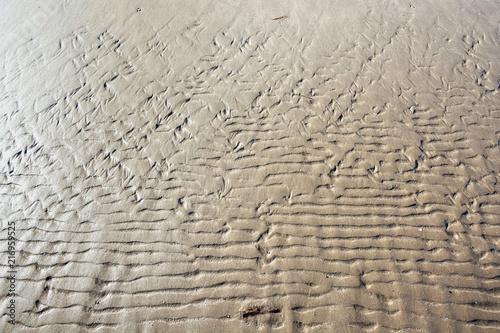 Wavy stretch marks remain on sandy beach at low tide - nature abstract texture