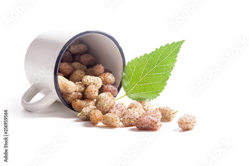 White cup with white mulberry fruit and leaf isolated on white.