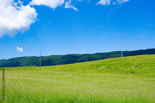Campo di erba in primavera con cielo limpido e nuvole