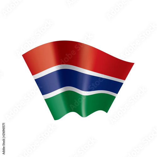 Gambia flag  vector illustration on a white background