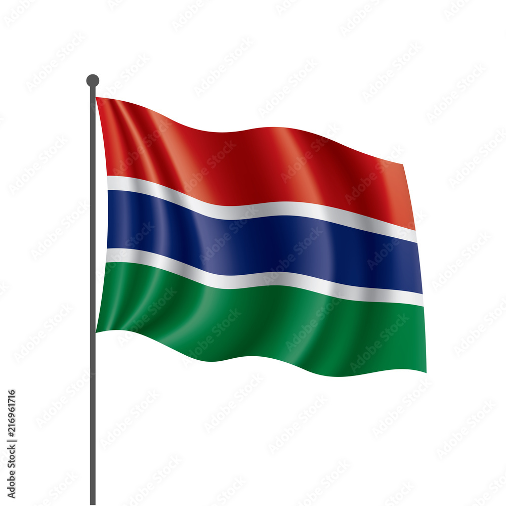 Gambia flag, vector illustration on a white background