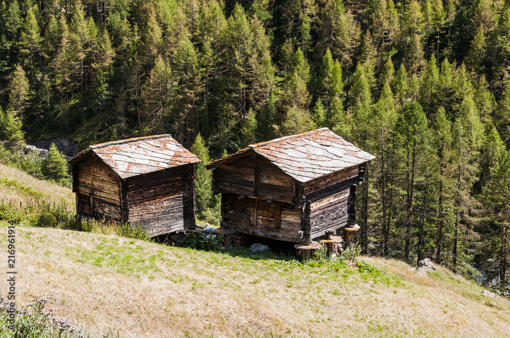 Zermatt, Findeln, Weiler, Alm, Wanderweg, Sunnegga, Bergbauer, Bergwiese, Bergblumen, Holzhaus, Stall, Wallis, Walliser Berge, Sommer, Schweiz Zermatt, Findeln, Weiler, Alm, Wanderweg, Sunnegga, Bergbauer, Bergwiese, Bergblumen, Holzhaus, Stall, Wallis, Walliser Berge, Sommer, Schweiz