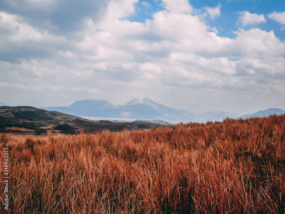 Field View, Isle of Skye in Scotland, Great Britain UK Field View, Isle of Skye in Scotland, Great Britain UK
