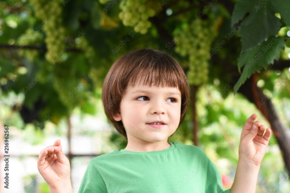 Happy child portrait. Boy smiling in yard under a vine Happy child portrait. Boy smiling in yard under a vine