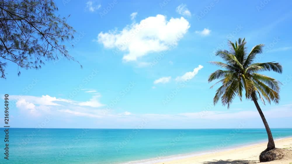 Sandy tropical beach with coconut palm tree, beautiful beach of andaman sea scenery background in phuket thailand Sandy tropical beach with coconut palm tree, beautiful beach of andaman sea scenery background in phuket thailand
