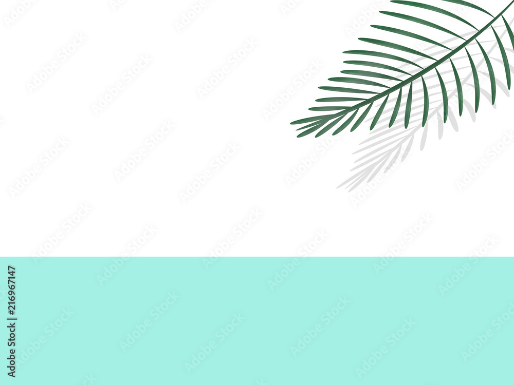 text area in white and mint with exotic palm leaf in 3D with shadow