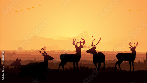 Wild animals silhouette  deer