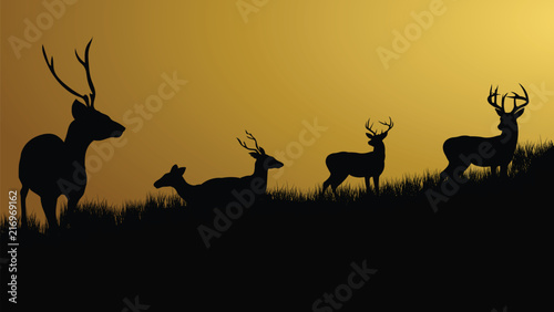 Wild animals silhouette, deer