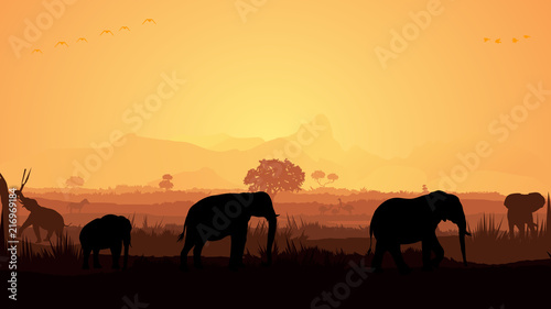 Wild animals silhouette