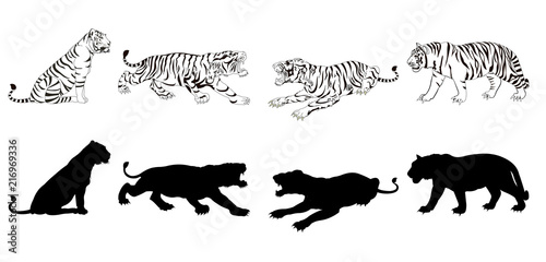 Wild animals silhouette, tiger