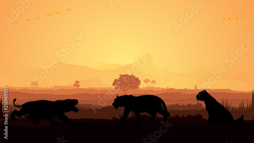 Wild animals silhouette  Tiger family