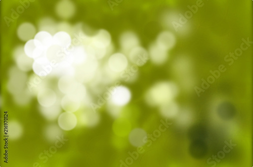 Hintergrundbild Pflanzen im Sommer mit Bokeh