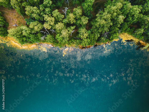 Aerial drone photo of green tree crones growing in lake shore, top down view, Russia