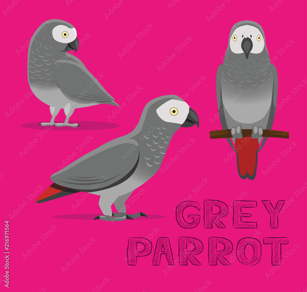 Naklejka premium Parrot Grey Cartoon Vector Illustration