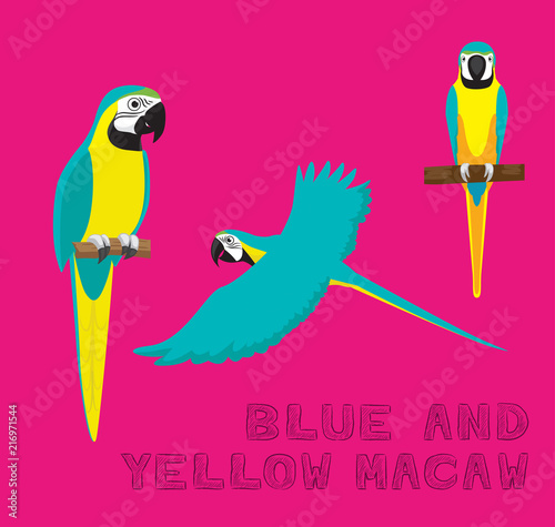 Parrot Blue and Yellow Macaw Cartoon Vector Illustration