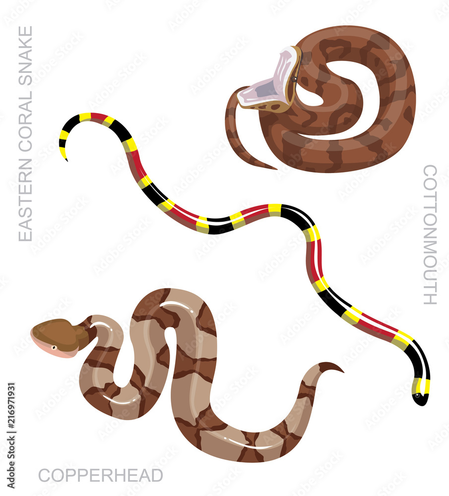 Naklejka premium Snake North American Venomous Set Cartoon Vector Illustration