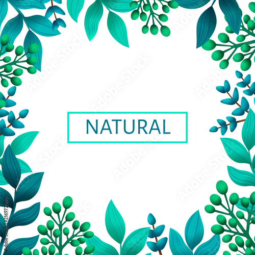 Herbal pre-made frame composition. Natural products concept. Summer wild herb...