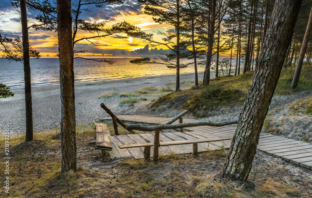 Colorful scenic view  and resting area near a sandy beach of the Baltic Sea