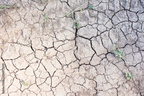 This summer is too hot and dry / Zoomed shot of cracked earth in dry summer as a texture