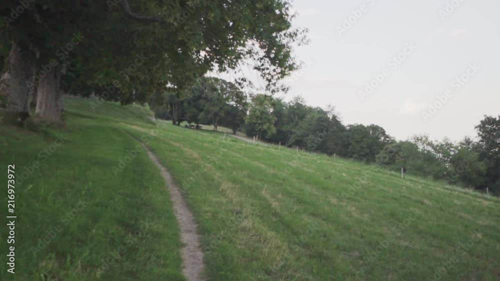 Walking along a path through a grassy field surrounded by trees in Boezingenberg, Switzerland, tilted angle Walking along a path through a grassy field surrounded by trees in Boezingenberg, Switzerland, tilted angle