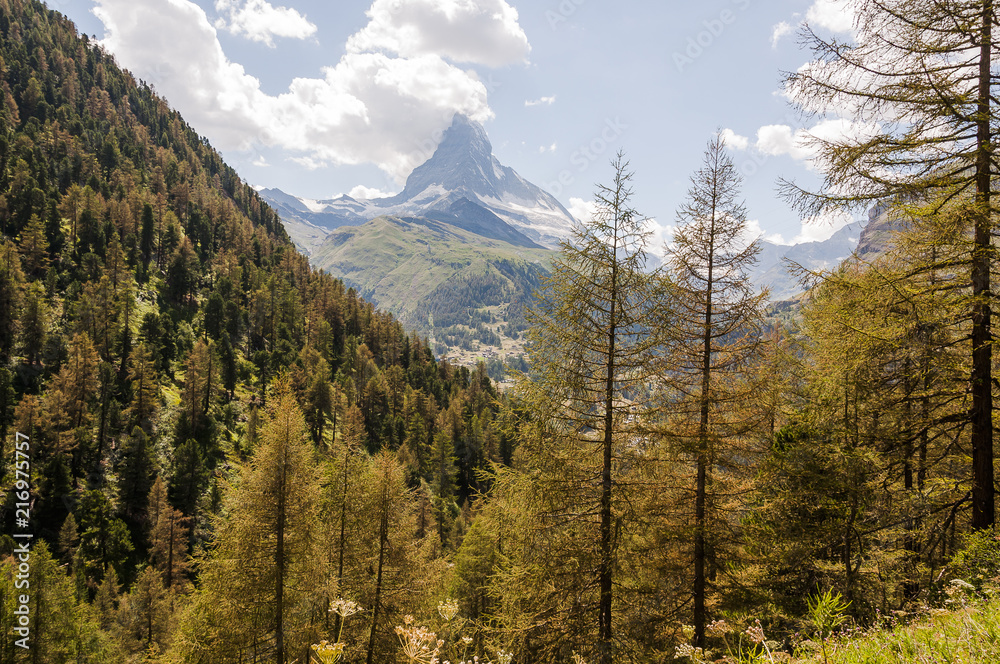 Zermatt, Findeln, Findelbach, Findelschlucht, Sunnegga, Wanderweg, Wallis, Lärchenwald Matterhorn, Walliser Berge, Sommer, Schweiz Zermatt, Findeln, Findelbach, Findelschlucht, Sunnegga, Wanderweg, Wallis, Lärchenwald Matterhorn, Walliser Berge, Sommer, Schweiz