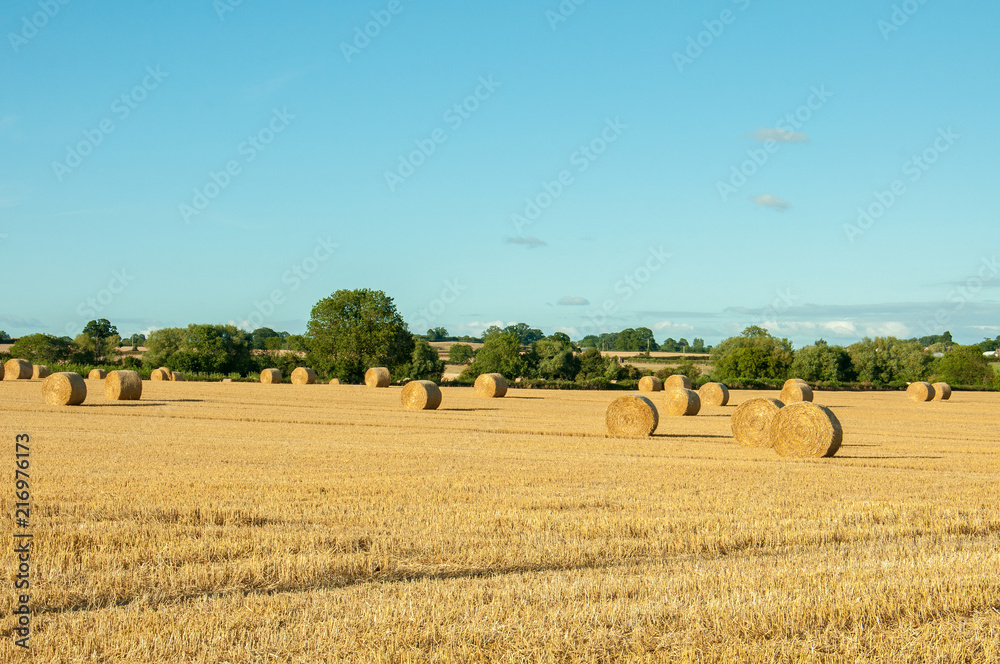 Summertime harvest with some straw bales in the English countryside.