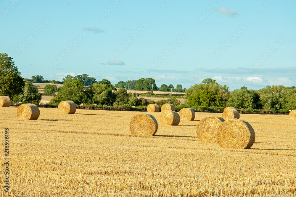 Straw bales in the English countryside.